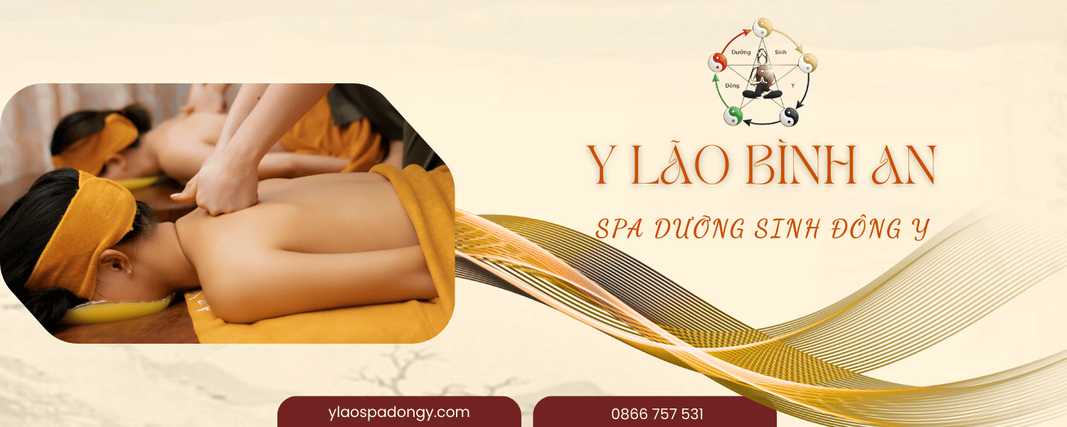 banner y lão bình an